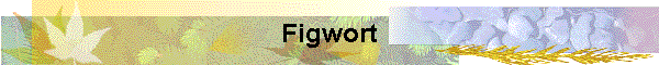 Figwort